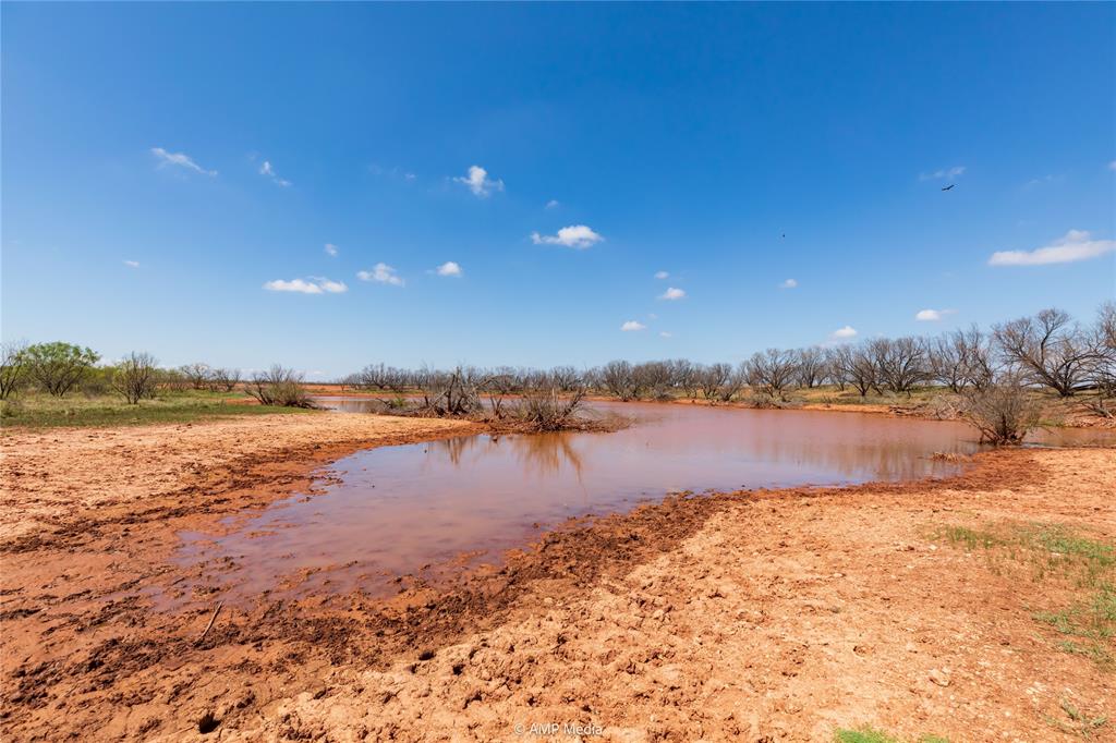 Longoria - Farm