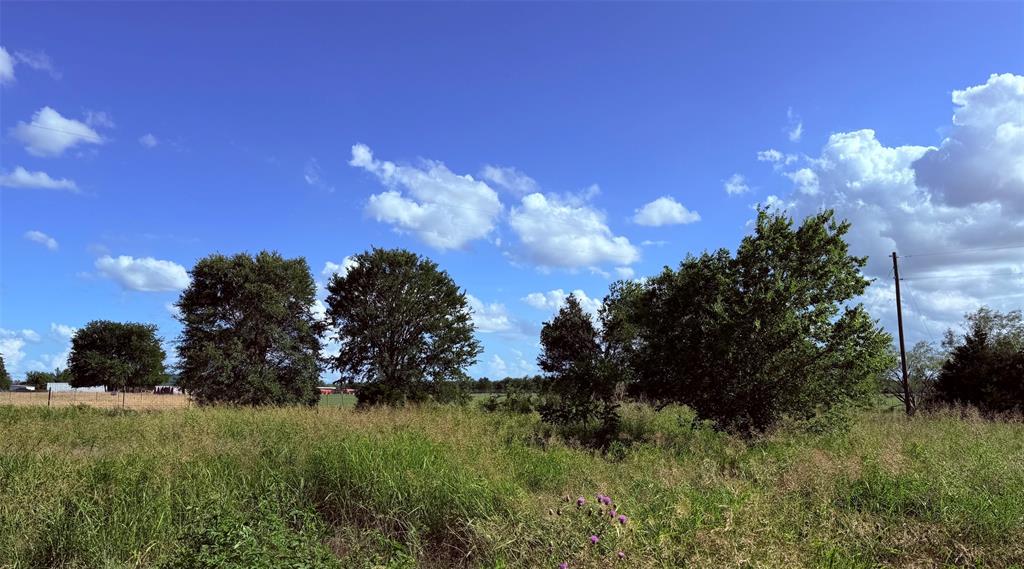 No - Land