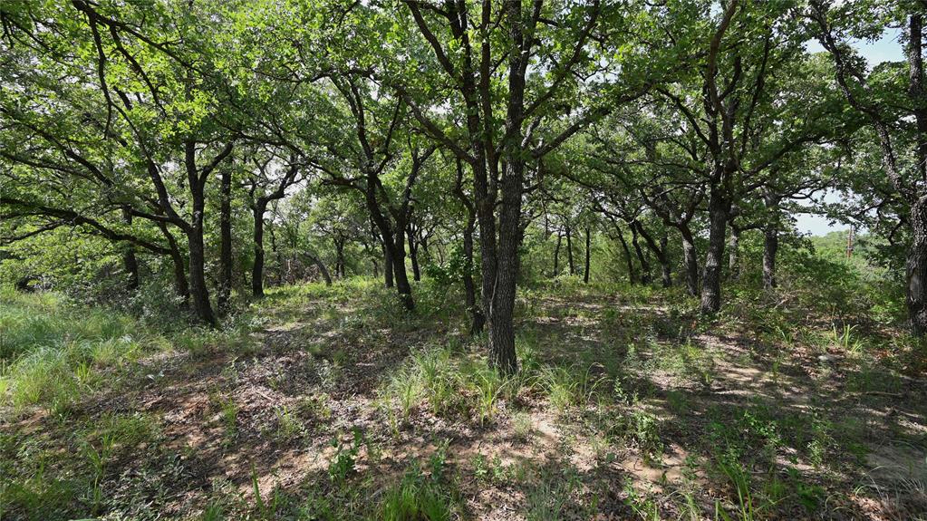 NOCONA HILLS - Land