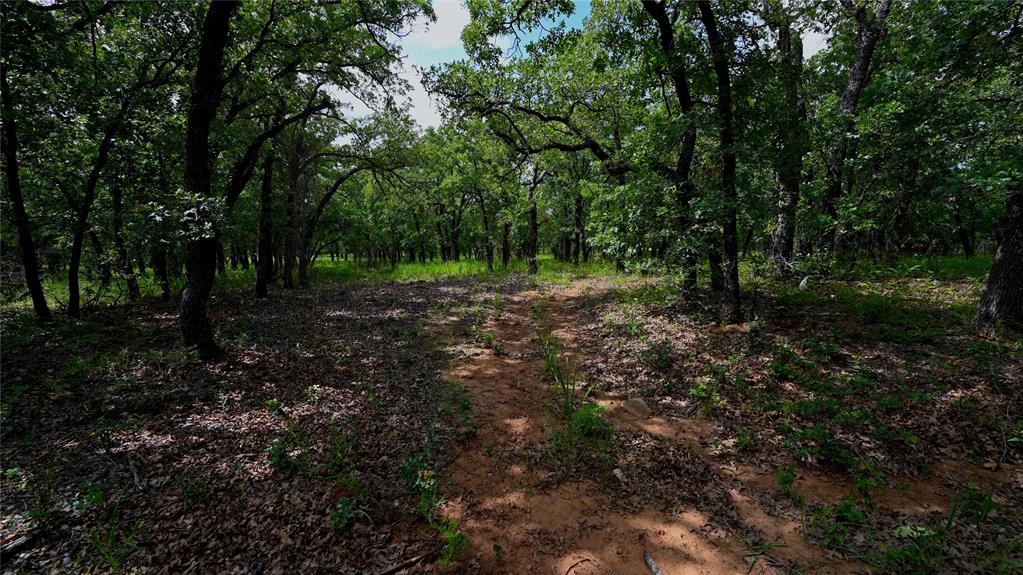 NOCONA HILLS - Land