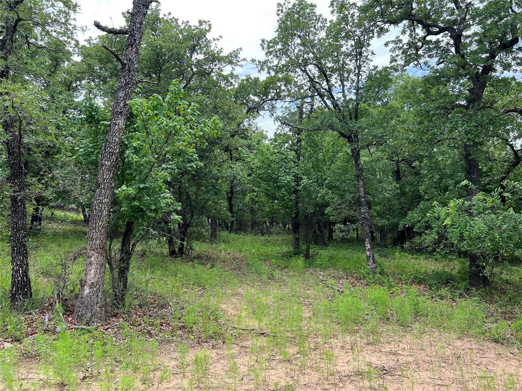 NOCONA HILLS - Land