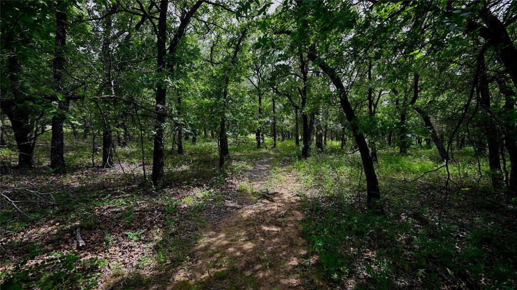 NOCONA HILLS - Land