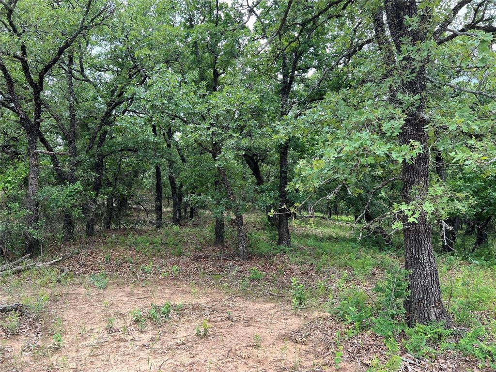 NOCONA HILLS - Land
