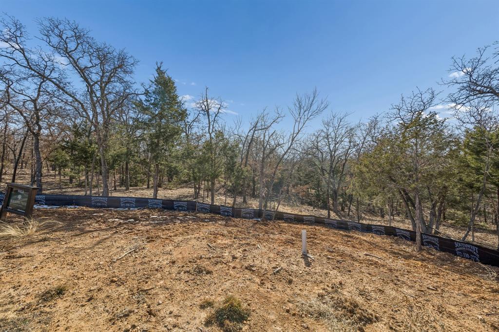 The Conservation - Land