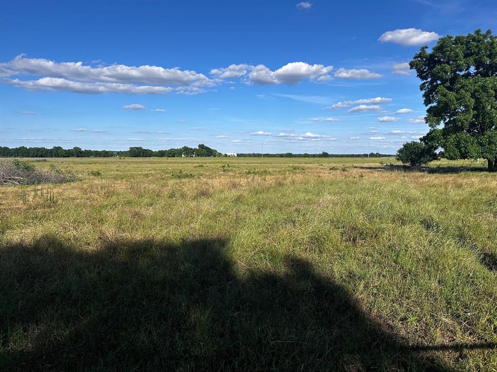 A0265 - Land