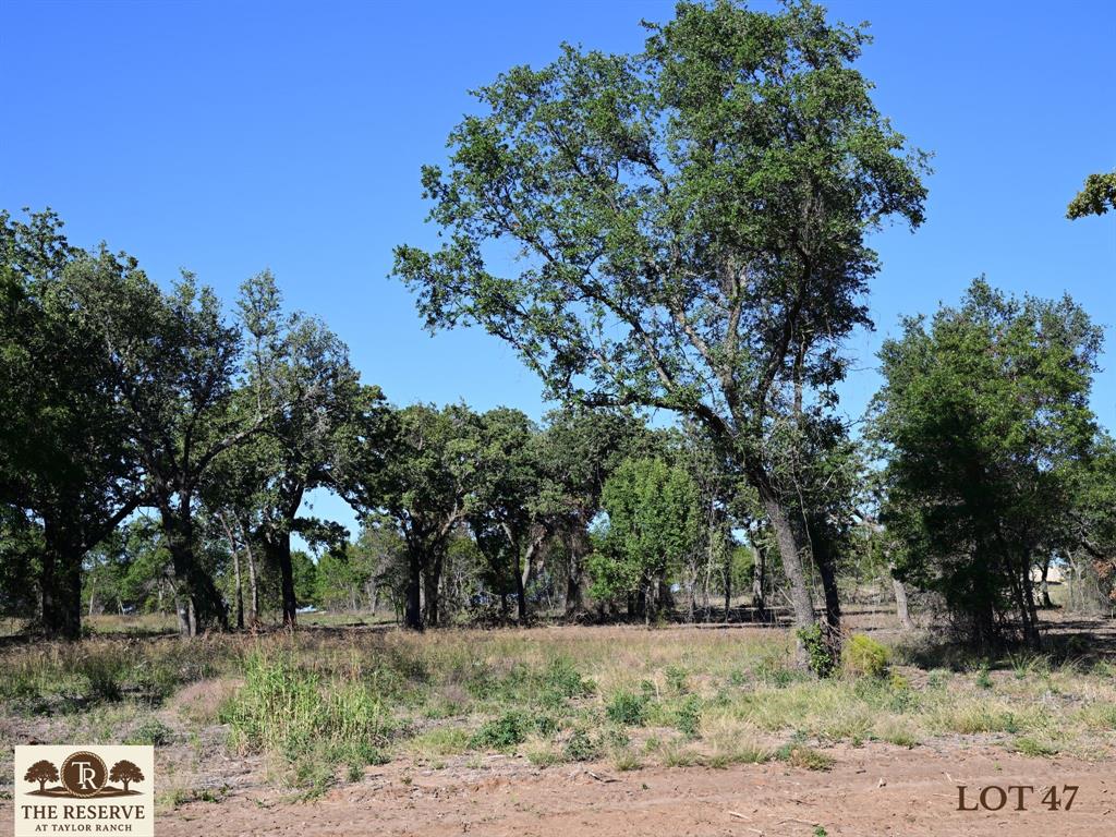The Reserve at Taylor Ranch - Land