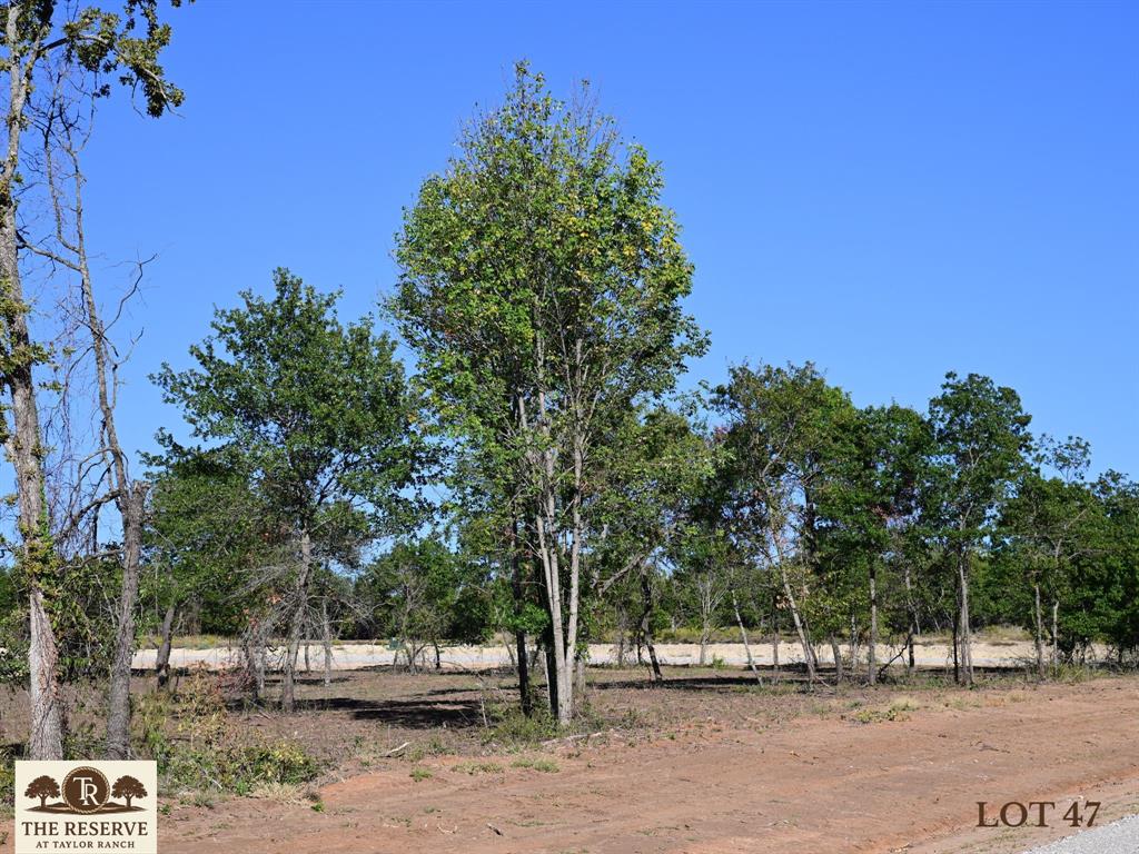 Stunning Corner Lot in the The Reserve at Taylor Ranch, Your Private Slice of Parker County Paradise. This lot features a turn key lot that has been selectively cleared ensuring beautiful and well manicured oaks remain. Ready for your build project! Nestled in the quiet countryside of Springtown and within the coveted Weatherford ISD, offering a rare opportunity to own acreage tracts that balance privacy, beauty, and freedom, all just minutes from town. Ranging from hilltop parcels with sweeping views to shaded, wooded retreats;  each one unique and full of potential. With rolling topography that rises nearly 90 feet, the backdrop is breathtaking, offering unforgettable Parker County sunsets and a peaceful rhythm of life that feels miles away from the noise, yet only 20–25 minutes from Weatherford and close to Springtown’s local dining, shopping, & amenities. The Reserve is a true escape, a neighborhood that prioritizes privacy, space, & quality. Build your dream home on your timeline with deed restrictions, no HOA, and the freedom to create a lifestyle that suits you. Enjoy underground electricity, no water bills, well and septic-ready lots, & Next Link Fiber Optic Connectivity, all while being nestled in a quiet community. It’s the kind of place where neighbors wave, stars shine brighter, and the land works with you, not against you. The Reserve at Taylor Ranch isn’t just a place to live; t’s a place to belong. Evenings here feel like stepping back in time, where you can wander under wide Texas skies, catch lightning bugs in the dusk, and enjoy the kind of quiet that lets you hear the breeze through the trees. This is your invitation to slow down, spread out, and savor the simple moments. Come walk the lots, take in the views, and imagine the possibilities. New single-family construction must have a minimum of 1,700 square feet. No Barndominiums.