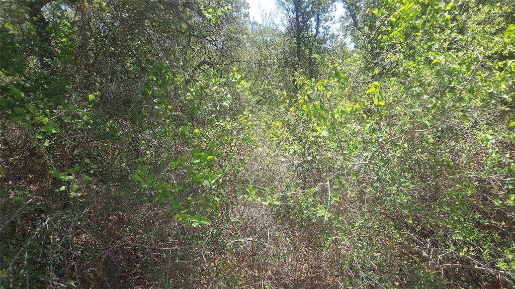 An unrestricted use lot, needs some clearing. Nice trees, Oncor Energy and Brooksmith WSC, available, needs septic system, road is very brushy and thorns wear protective cloths.
