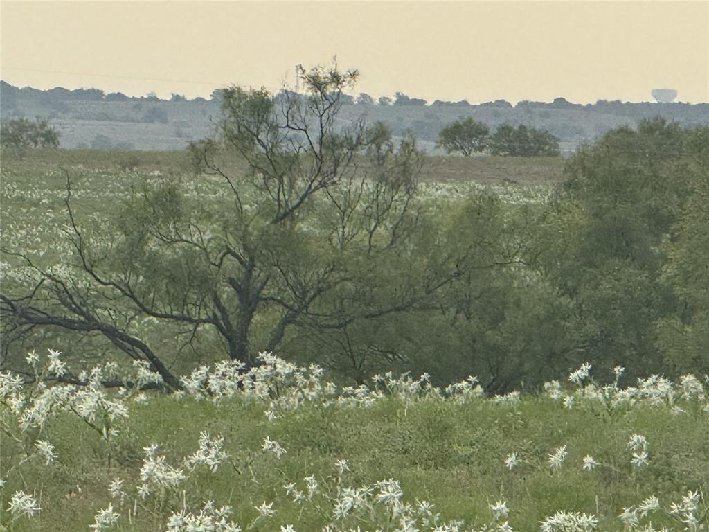 Mabel Estates Ph 2 - Land
