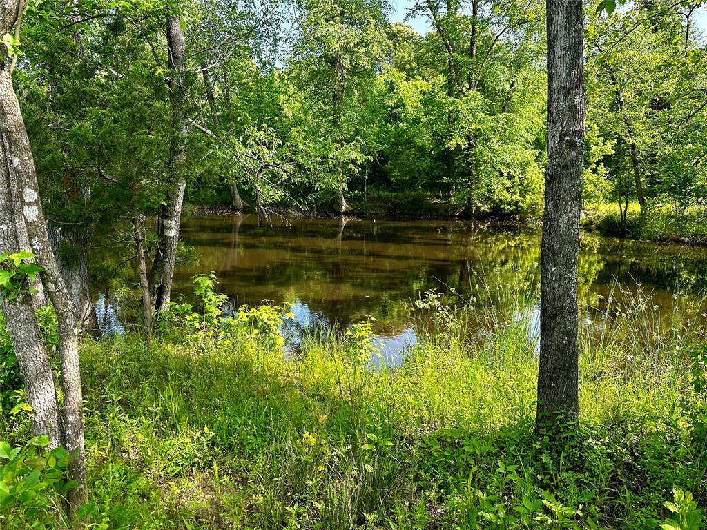 Rural - Land