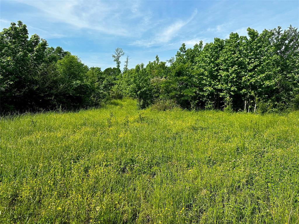 Rural - Land