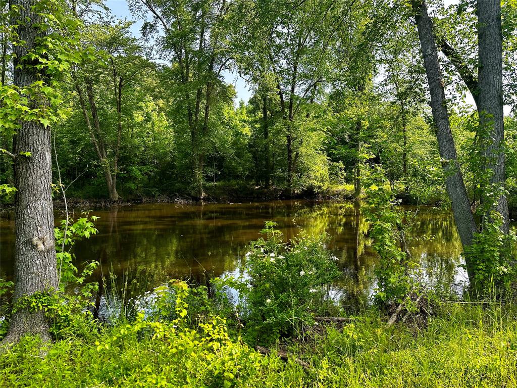 Rural - Land