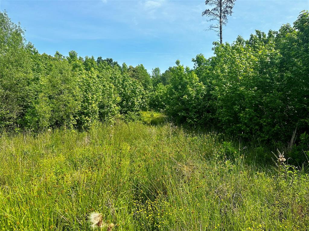Rural - Land