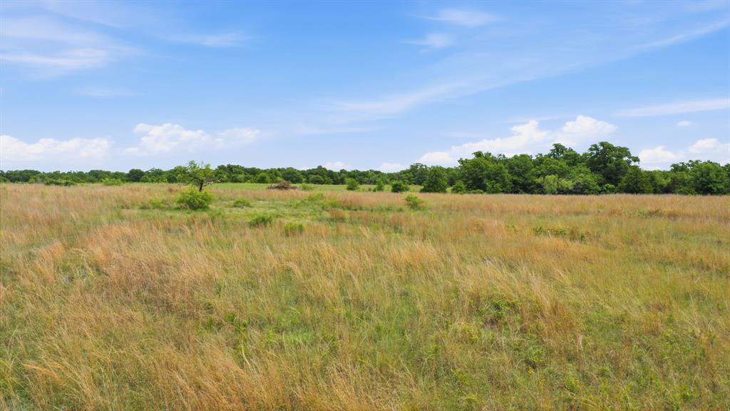Stallion Meadows Estates - Land