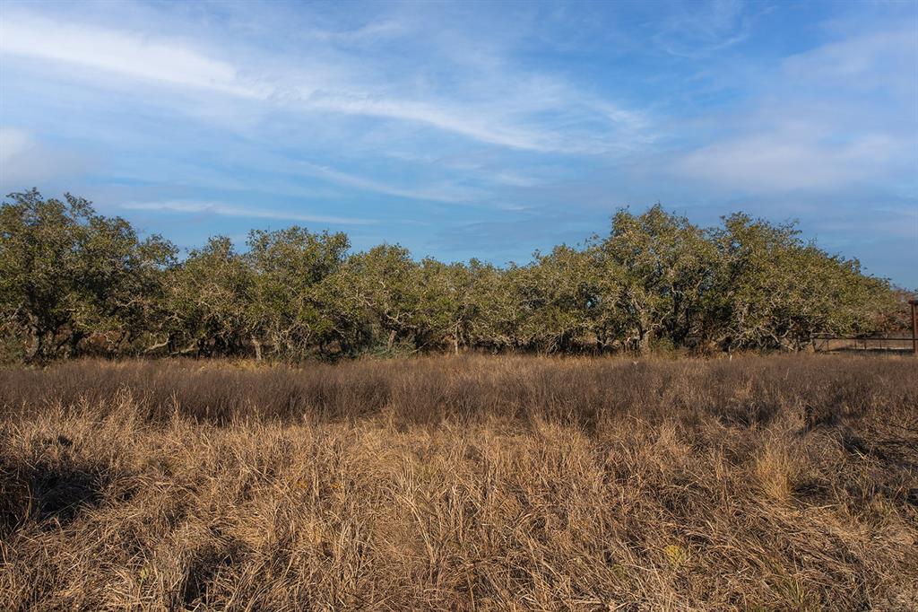 The Ranches at Buck Ridge - Land