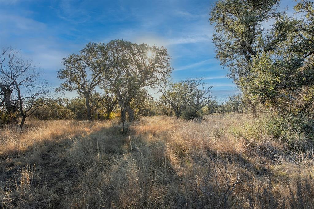 The Ranches at Buck Ridge - Land