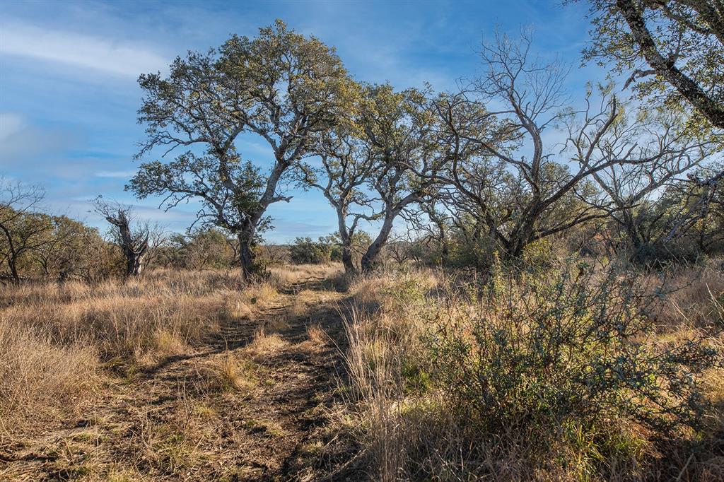 The Ranches at Buck Ridge - Land