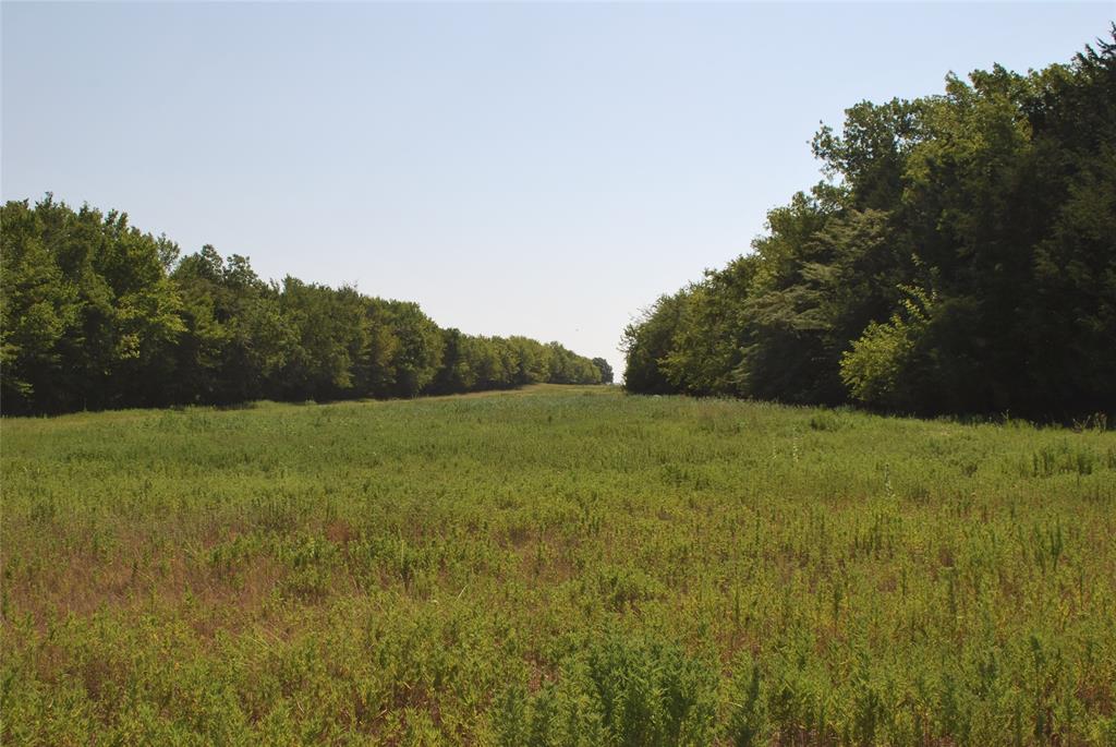 S PATTON - Farm
