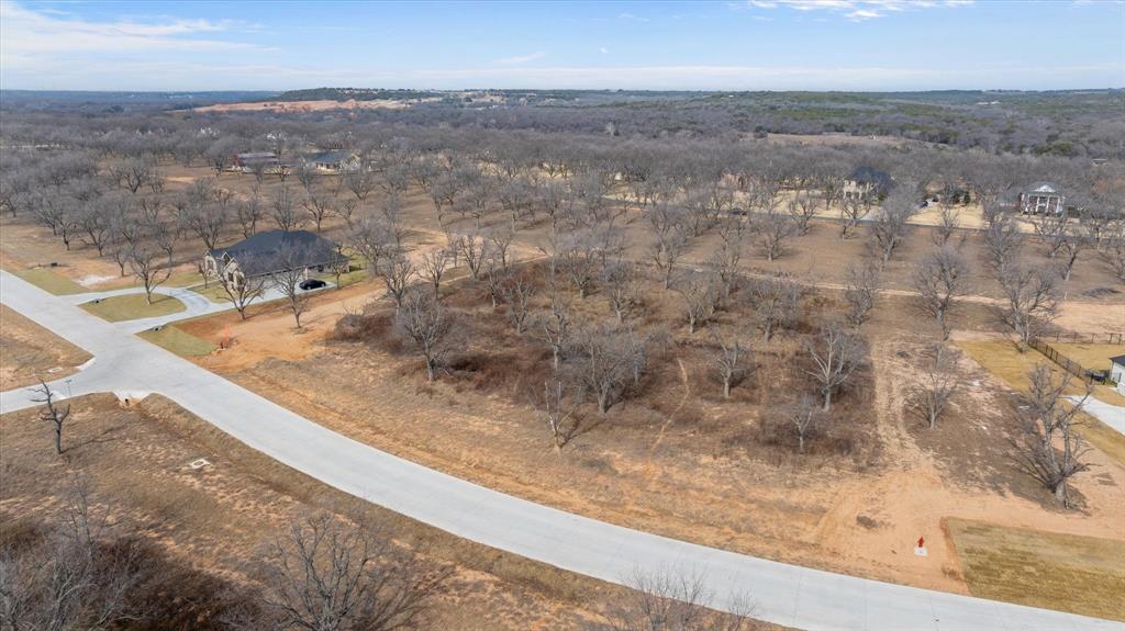 Pecan Plantation - Land