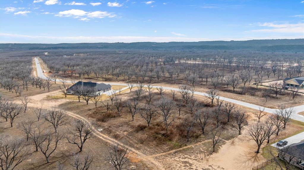 Pecan Plantation - Land