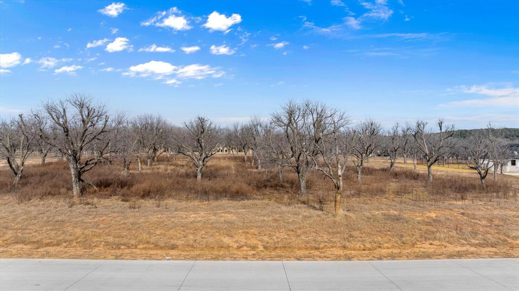 Pecan Plantation - Land
