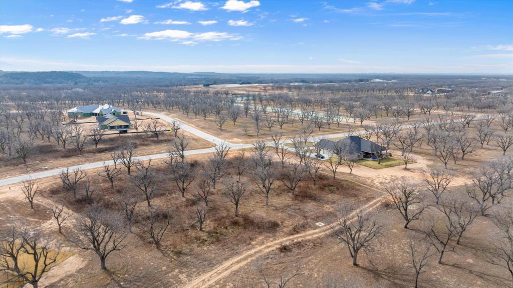 Pecan Plantation - Land