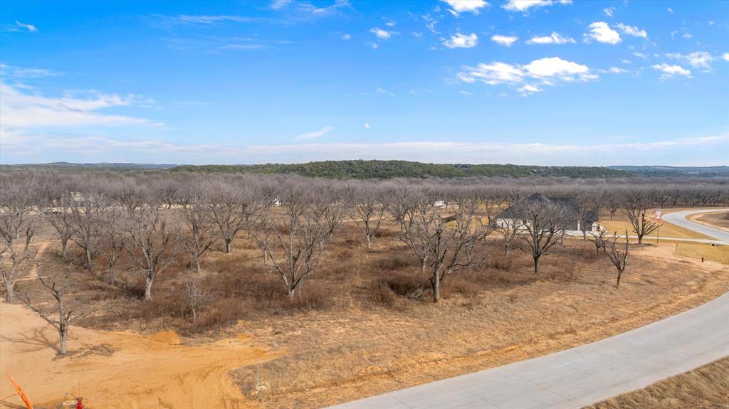 Pecan Plantation - Land