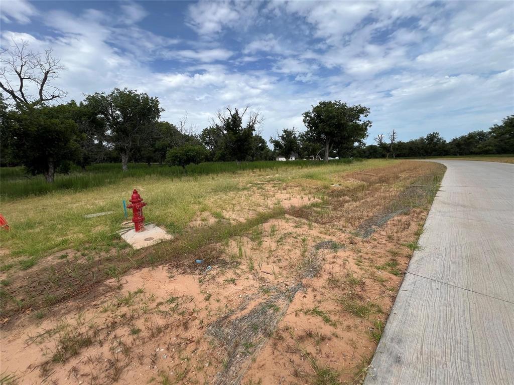Pecan Plantation - Land