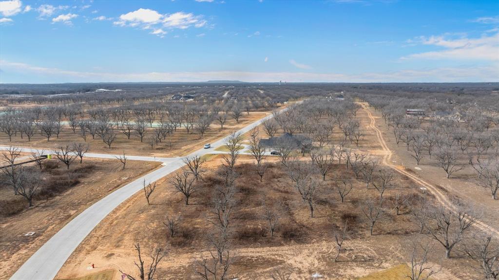 Pecan Plantation - Land