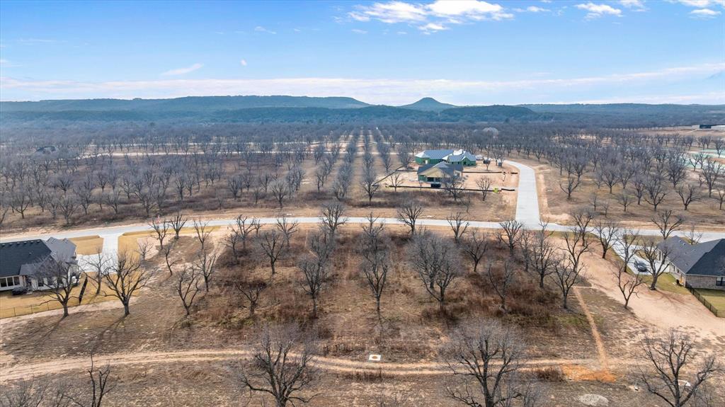 Pecan Plantation - Land