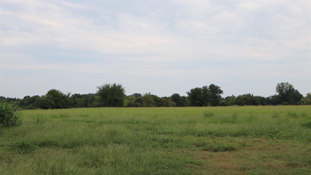 The property features open meadows with excellent grass production and paved county road frontage. It’s an ideal setting for a future homesite. This tract is ready for use with county water and electricity available, paved road frontage for easy access, and secure fencing already in place.