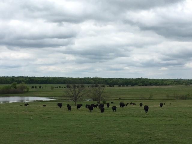 na - Farm