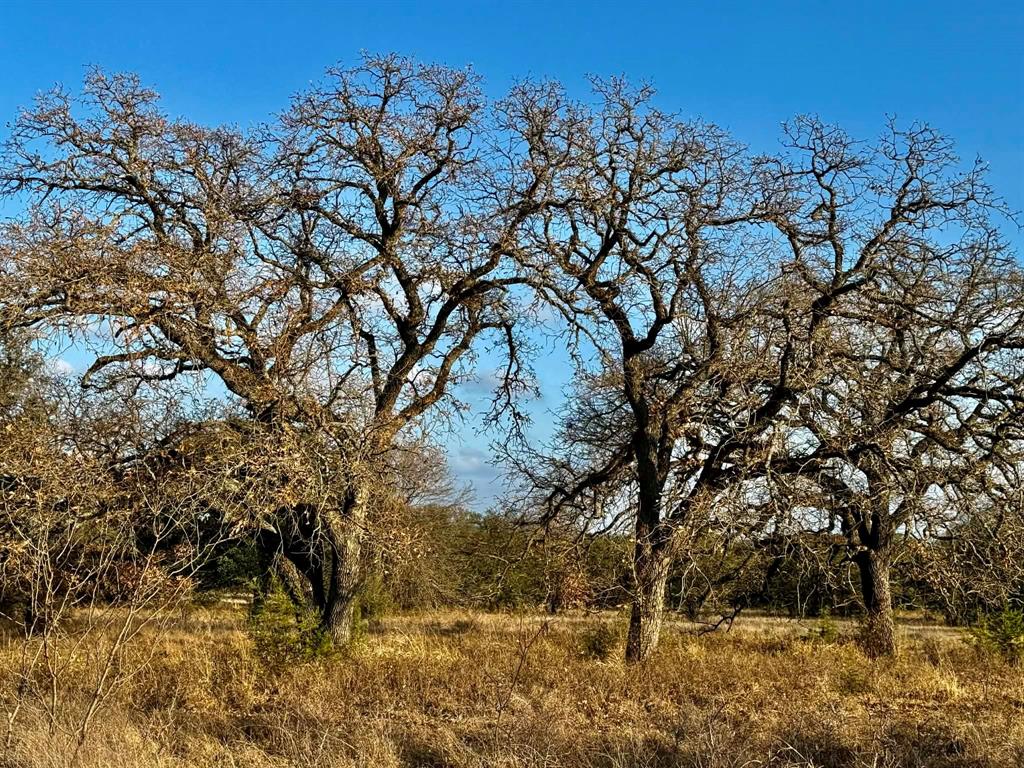 ABST A0321 GRIMES, JHN Acres:794.2500 - Land