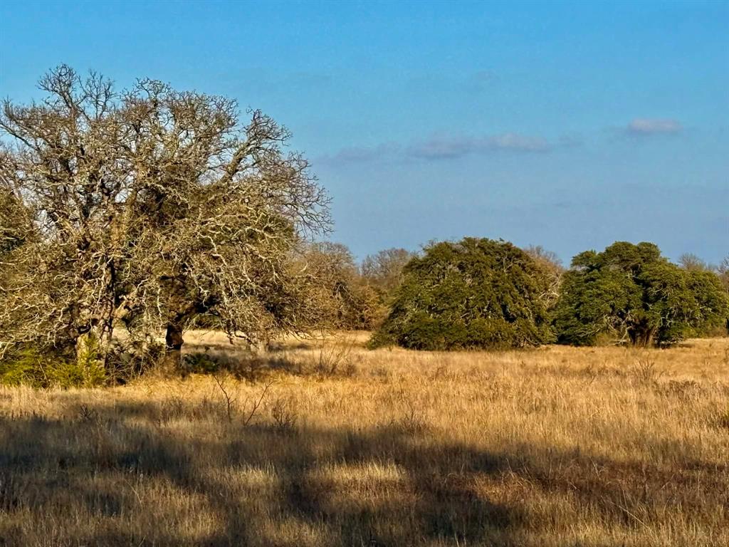 ABST A0321 GRIMES, JHN Acres:794.2500 - Land