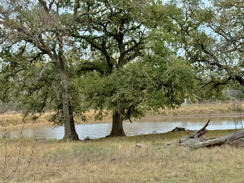 ABST A0321 GRIMES, JHN Acres:794.2500 - Land