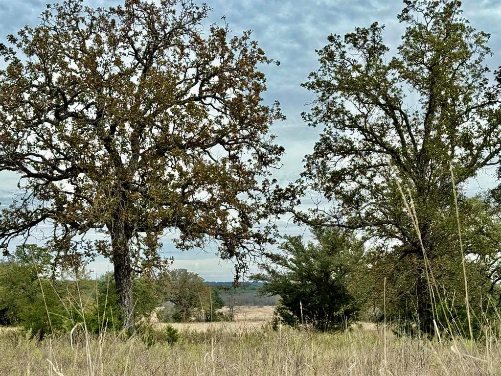 ABST A0321 GRIMES, JHN Acres:794.2500 - Land