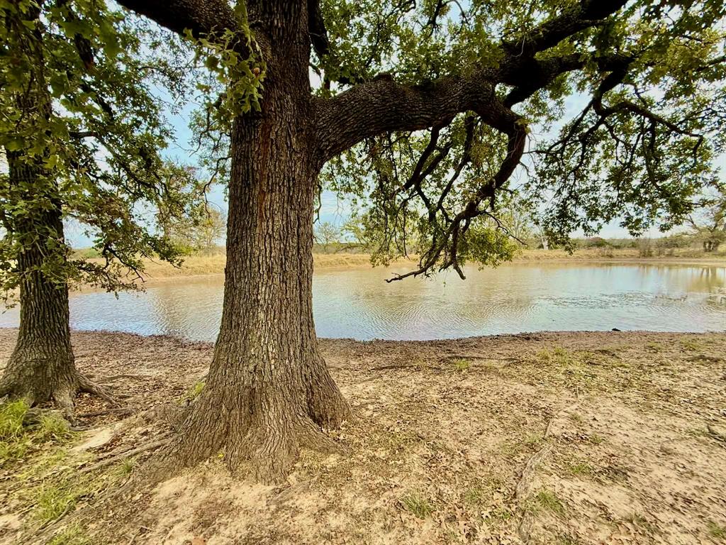 ABST A0321 GRIMES, JHN Acres:794.2500 - Land