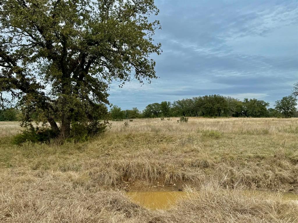 ABST A0321 GRIMES, JHN Acres:794.2500 - Land