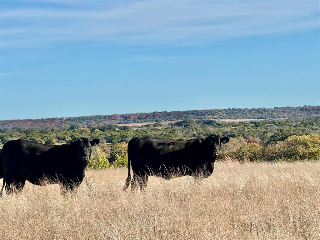 ABST A0321 GRIMES, JHN Acres:794.2500 - Land