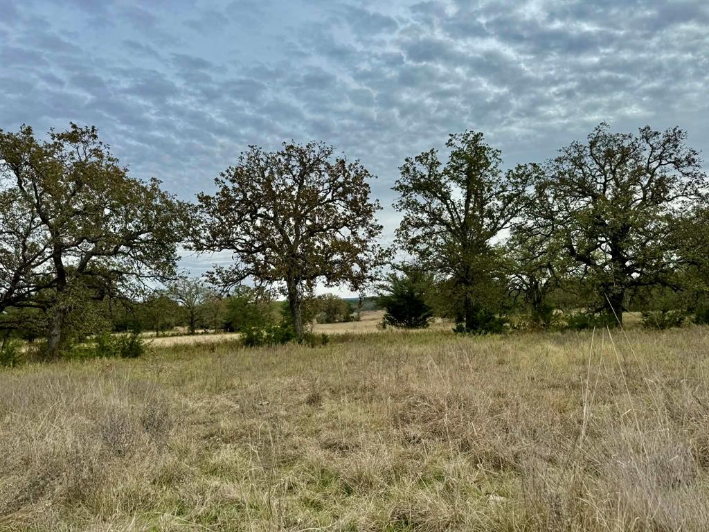 ABST A0321 GRIMES, JHN Acres:794.2500 - Land
