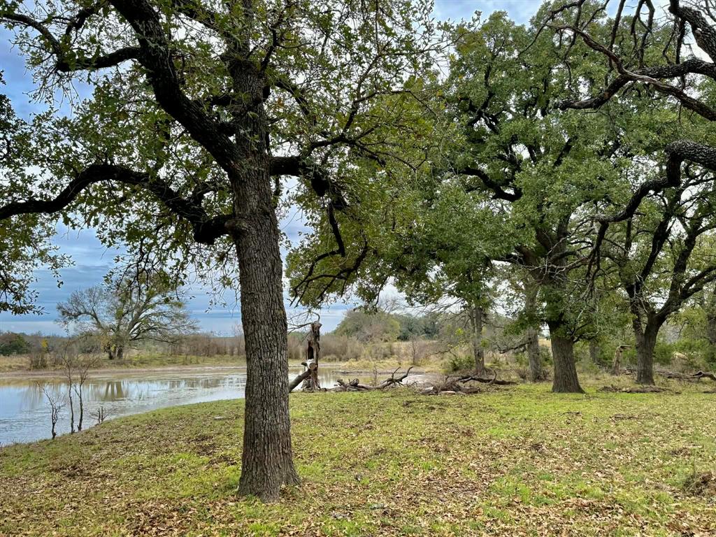 ABST A0321 GRIMES, JHN Acres:794.2500 - Land