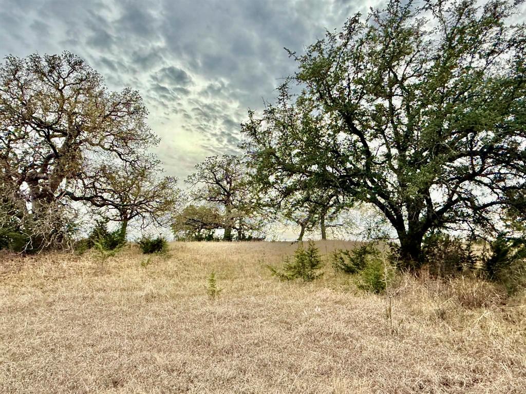 ABST A0321 GRIMES, JHN Acres:794.2500 - Land