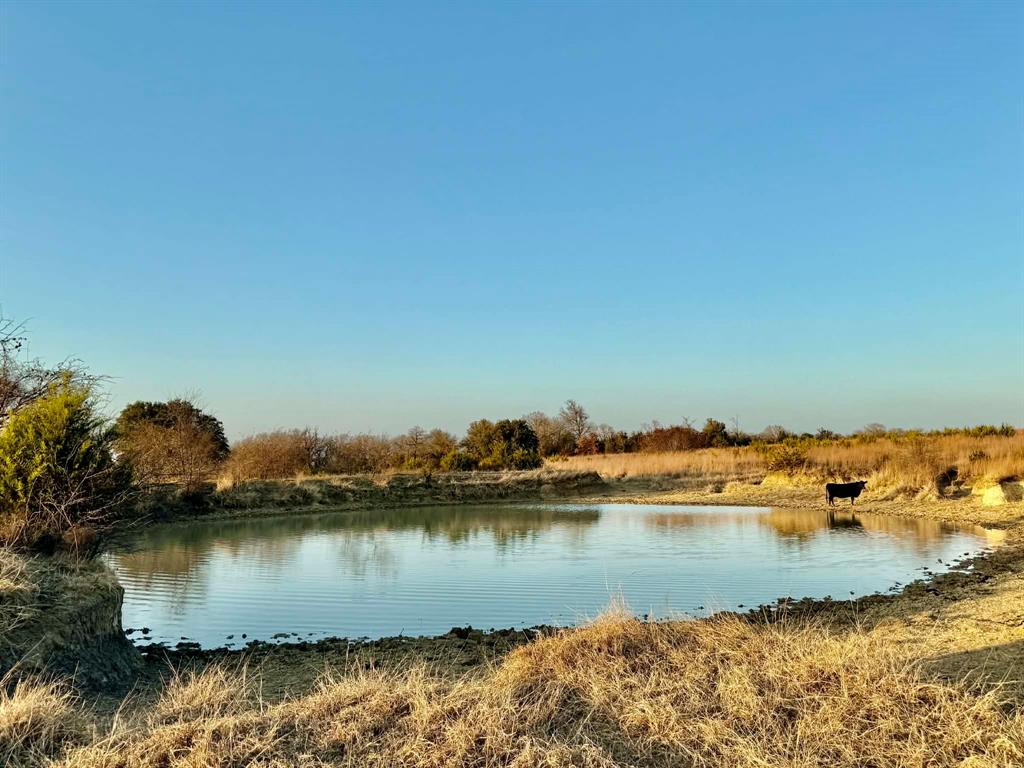 ABST A0321 GRIMES, JHN Acres:794.2500 - Land