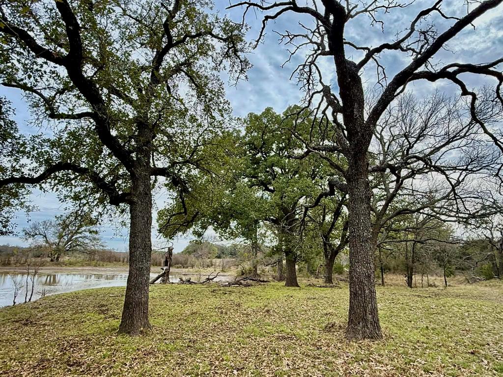ABST A0321 GRIMES, JHN Acres:794.2500 - Land