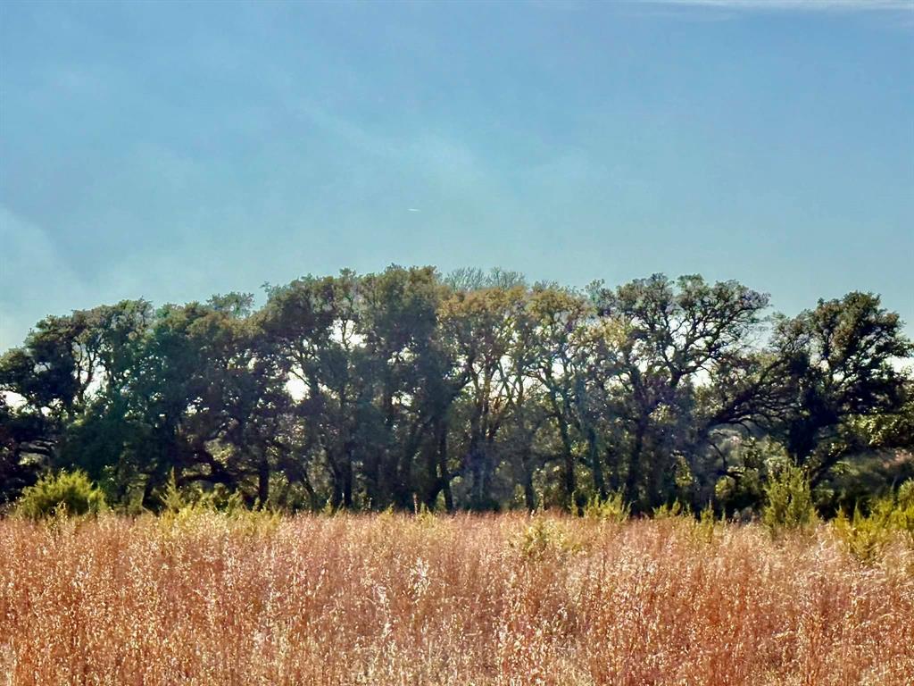 ABST A0321 GRIMES, JHN Acres:794.2500 - Land
