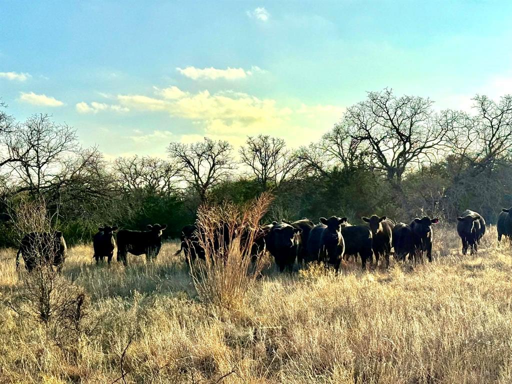 ABST A0321 GRIMES, JHN Acres:794.2500 - Land