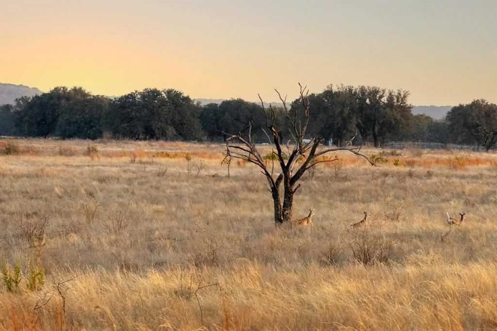 ABST A0321 GRIMES, JHN Acres:794.2500 - Land