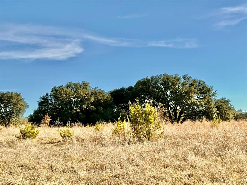 ABST A0321 GRIMES, JHN Acres:794.2500 - Land