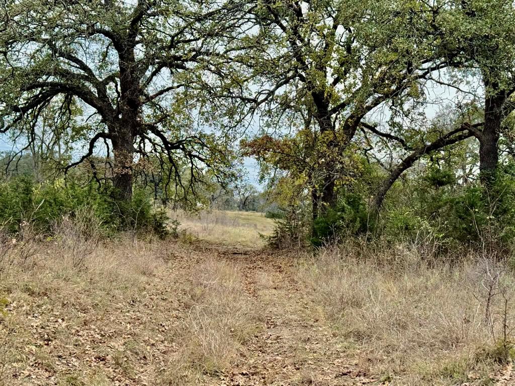 ABST A0321 GRIMES, JHN Acres:794.2500 - Land