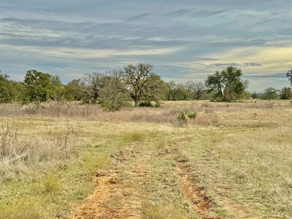 ABST A0321 GRIMES, JHN Acres:794.2500 - Land